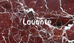 lavante marble stone