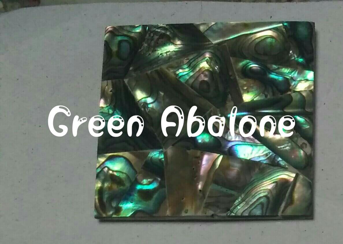 green abalone mop sea shell